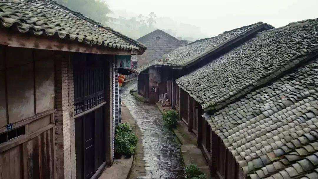 独眼萌怪的爱情